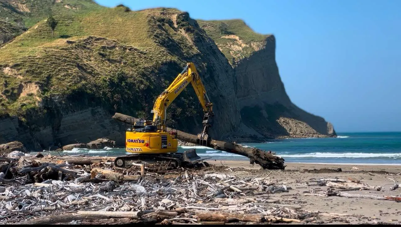 Slash Clean Up - East Coast - Image 2